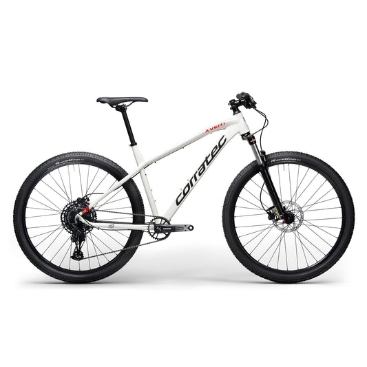 Corratec X-Vert 29 Élite (22)