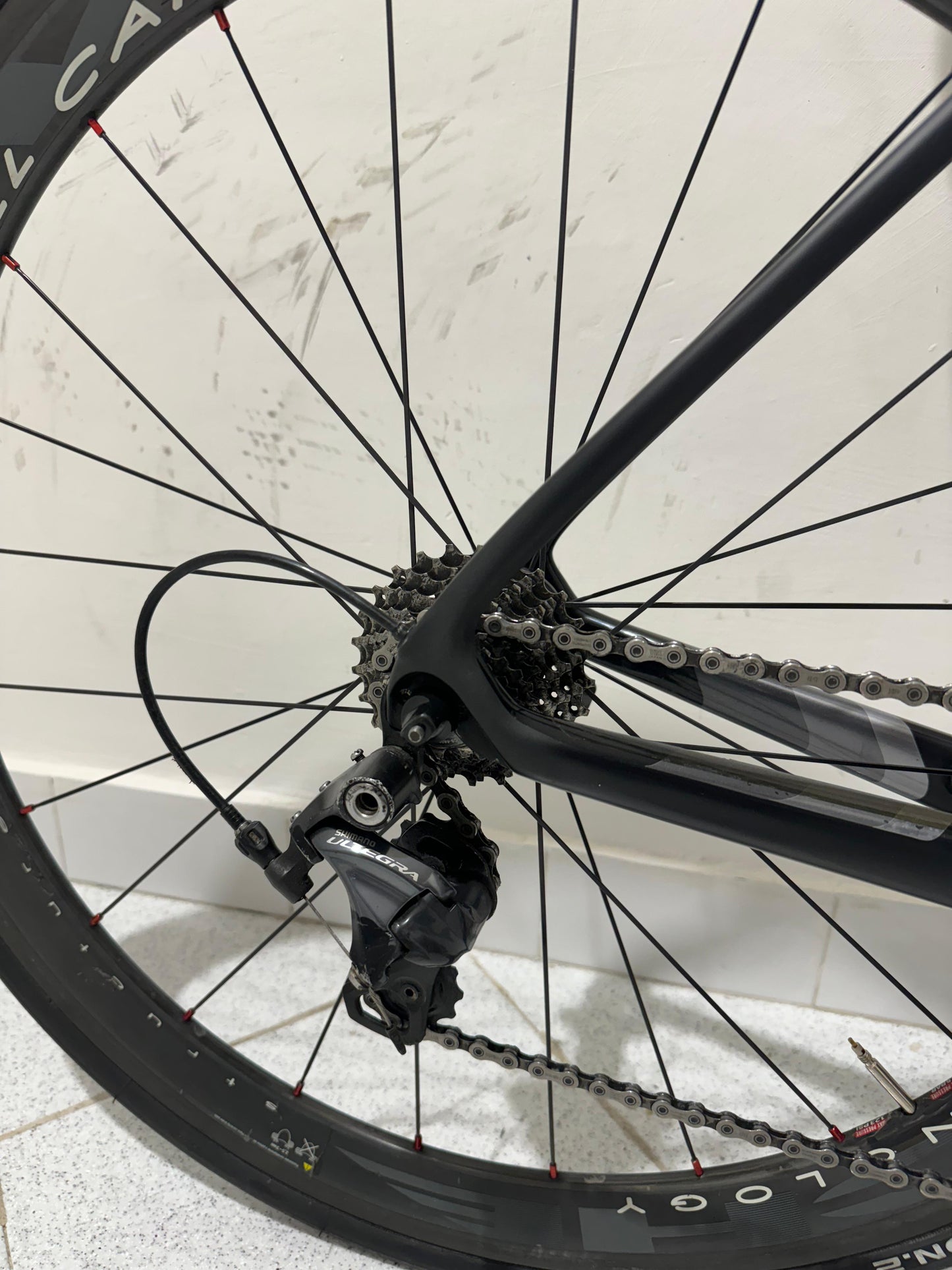 Trek Domane SLR Size 52 - Used
