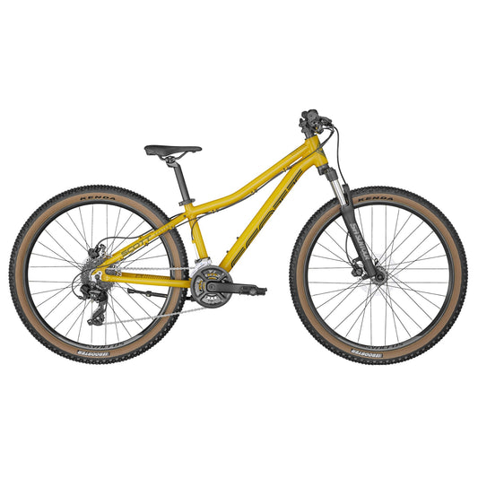 Scott Roxter Disque 26"