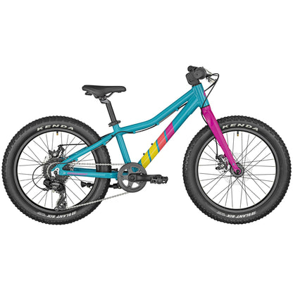 Bergamont Bergamonstre 20" Plus 