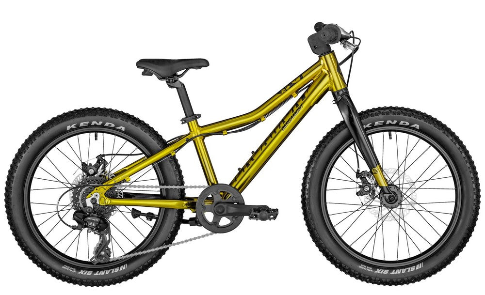 Bergamont Bergamonster 20 Plus Garçon
