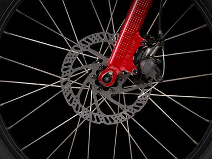 Trek Roscoe 20 