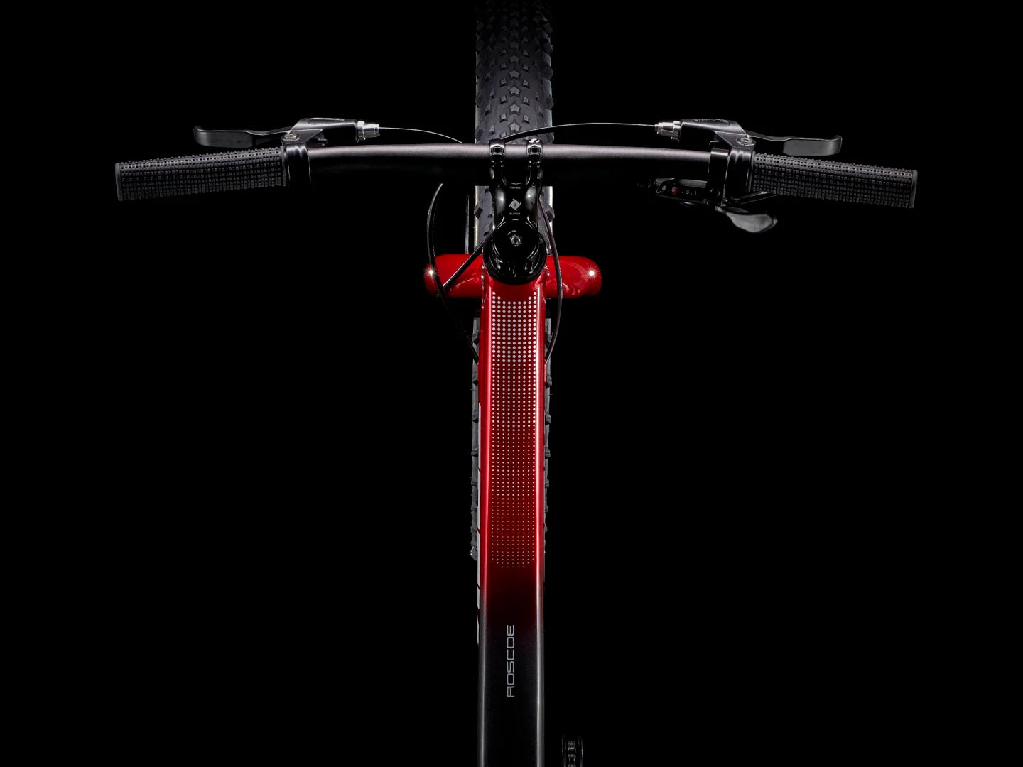 Trek Roscoe 20 