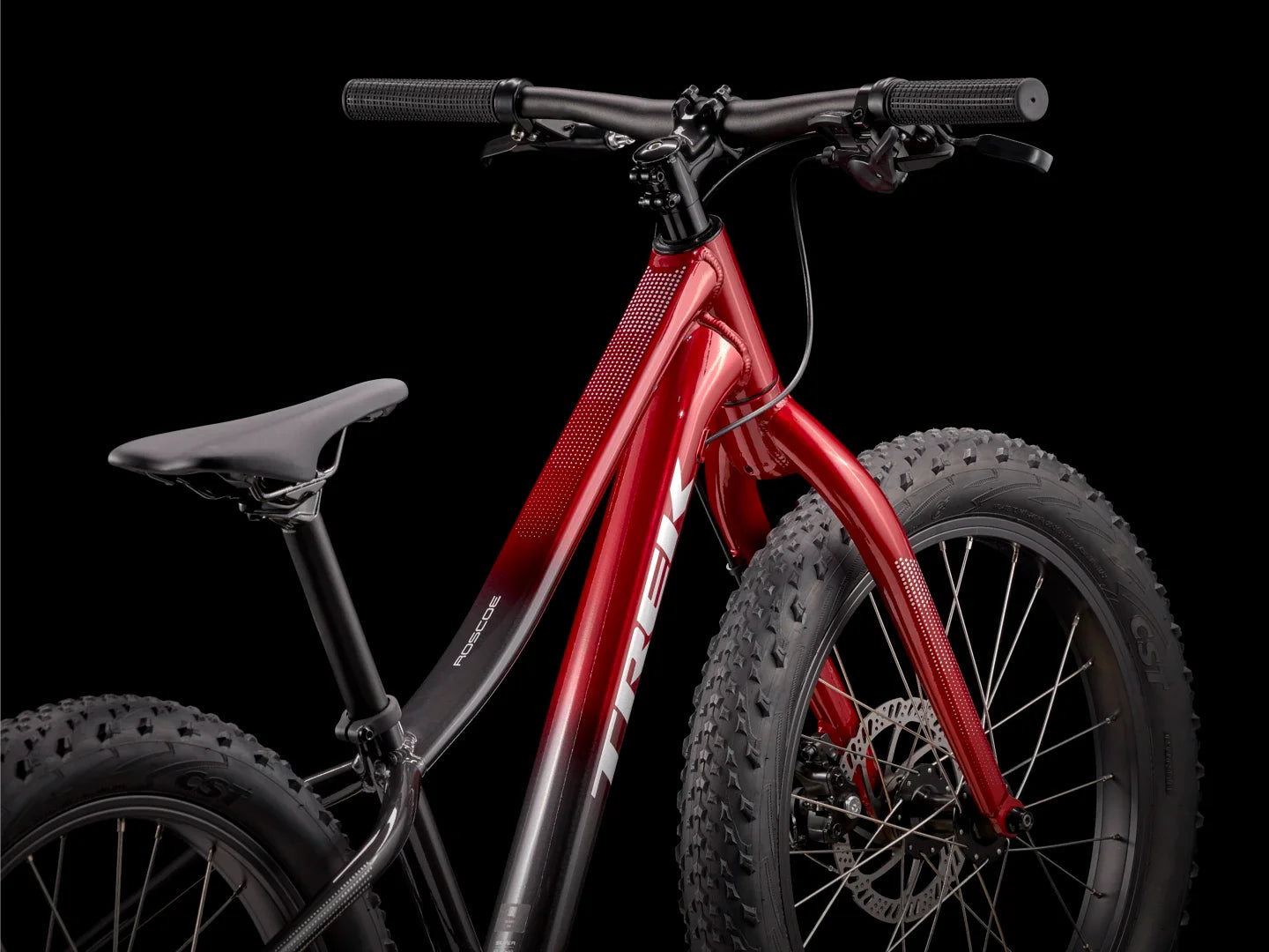 Trek Roscoe 20 